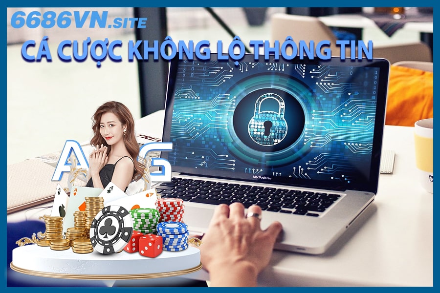 Giới thiệu chính sách 6686