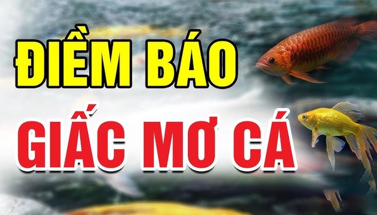 Cách Chơi Game Theo Giấc Mơ Cá Vàng Tại PG66