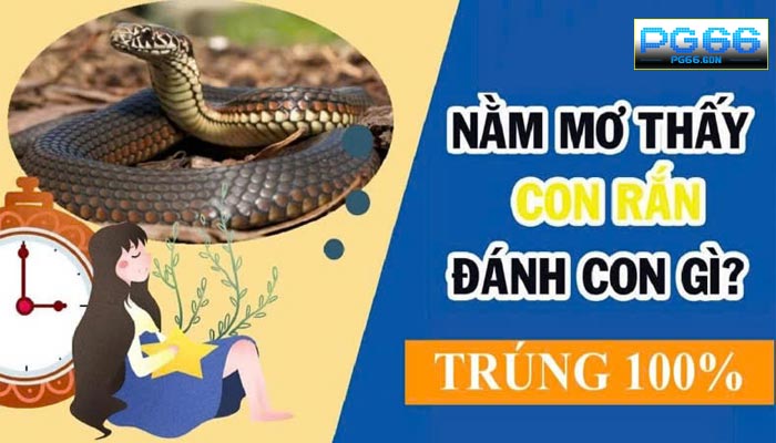 Hướng Dẫn Cách Đặt Số Từ Giấc Mơ 