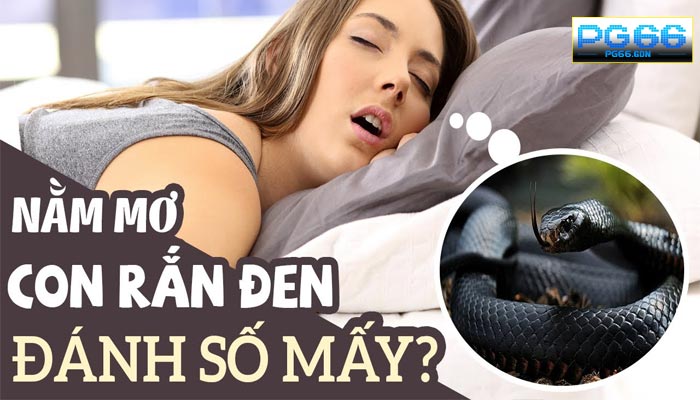 Mẹo Chơi Lô Đề Theo Giấc Mơ