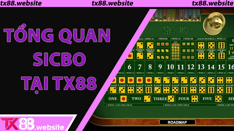 Tổng quan sicbo tại TX88 - Bước vào thế giới xúc xắc chuẩn quốc tế