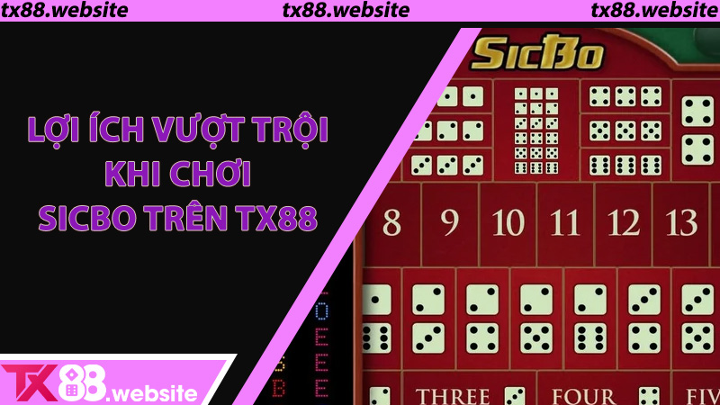 Lợi ích vượt trội khi chơi sicbo trên TX88 - Lý do người chơi gắn bó lâu dài