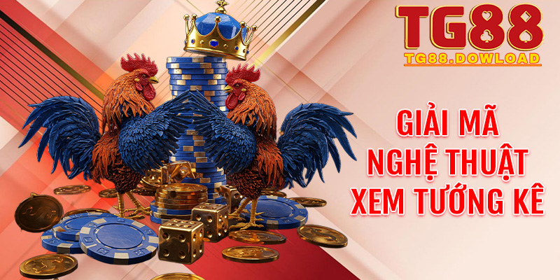 Giải mã nghệ thuật xem tướng kê: Bí kíp thắng cược Đá gà C1 tại Tg88