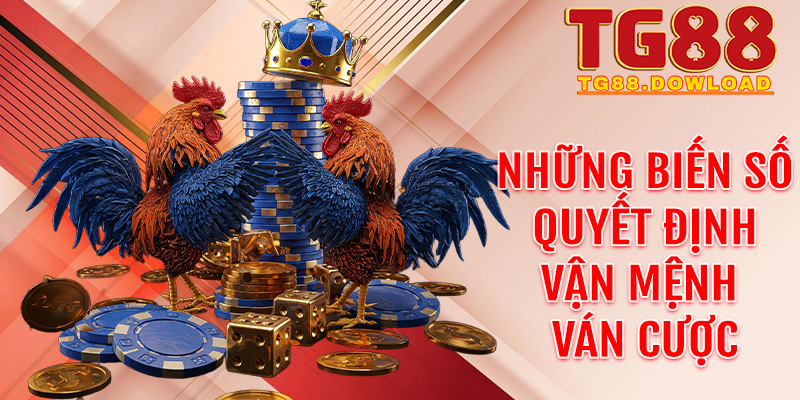 Những biến số quyết định vận mệnh ván cược trên sàn đấu trực tuyến