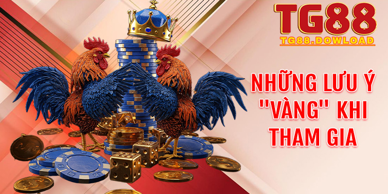 Những lưu ý "vàng" khi tham gia đặt cược Đá gà C1 tại Tg88